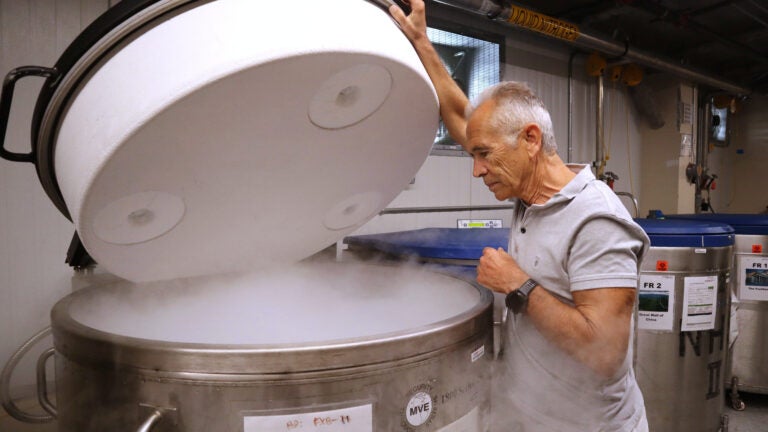 Harvard University professor Alberto Ascherio opens a liquid nitrogen freezer.