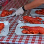 Maine Lobster Festival